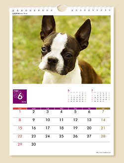 壁掛けカレンダーWD1